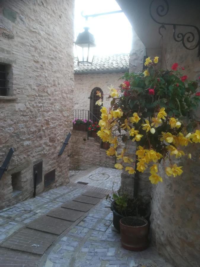 La Casa Della Maestra Localita San Giovanni 斯佩洛 外观 照片